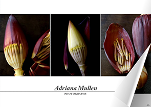 Click to view Food and still life