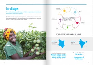 Non-Profit Report example