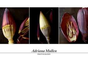 Beispiel für ein Fotoalbum