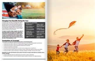 Brochure du secteur des assurances