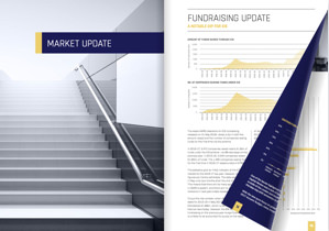 EIS Industry Report