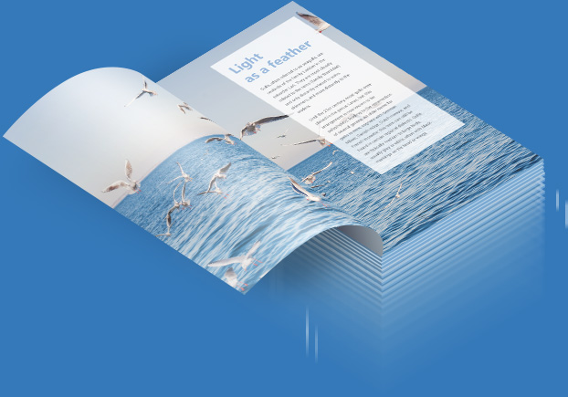 Large PDFs