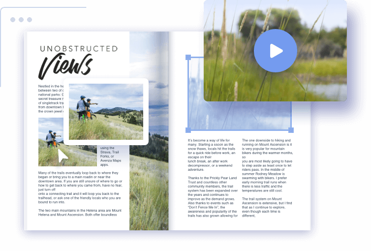 Interactive PDF