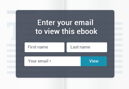 Built-in lead capture form