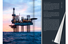 Consulting Brochure by RINA