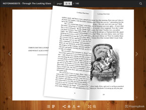 online book flip book