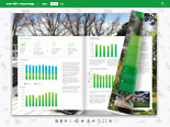 Annual Report Demo