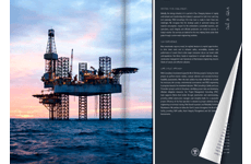 Consulting Brochure by RINA