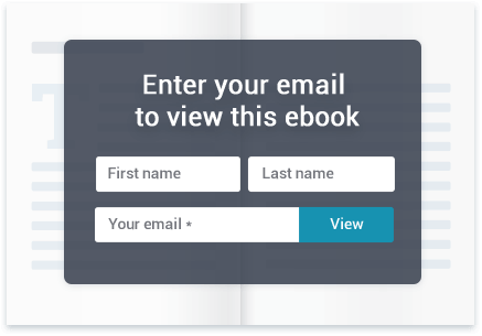 Built-in lead capture form