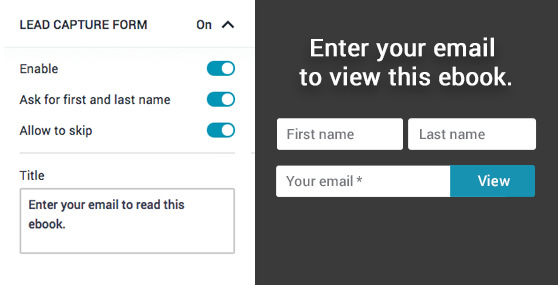 Customize the form